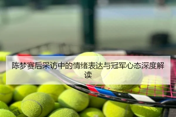 陈梦赛后采访中的情绪表达与冠军心态深度解读